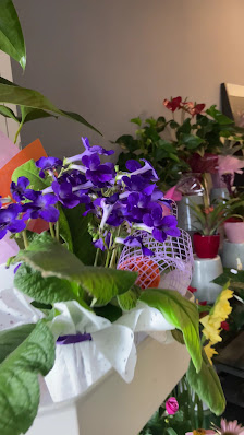 38 Glücksblume
