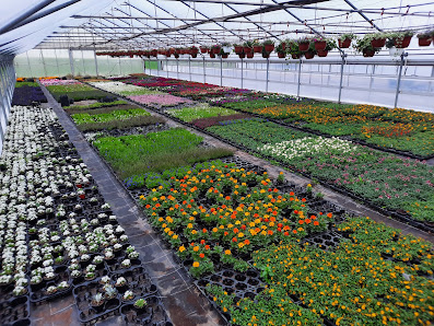 Gartenbau Kreß