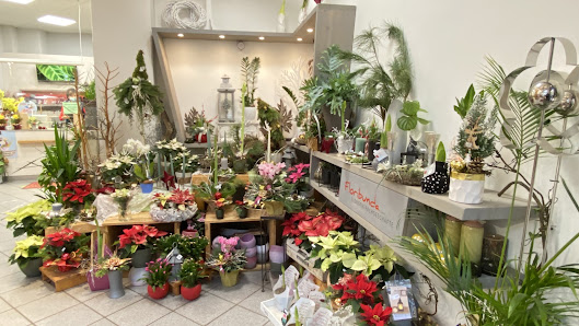 Floribunda GmbH