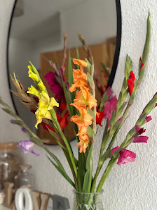 Blumen Funck - Blumenfeld