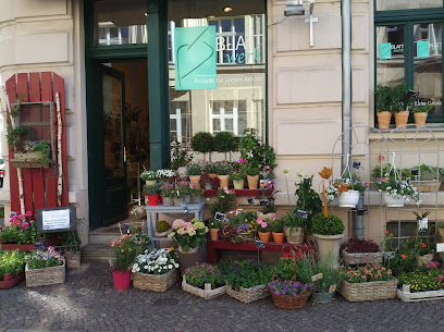 Plagwitz
