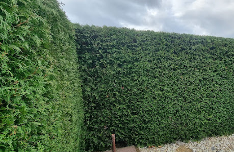 Gartenservice Cedric Rother