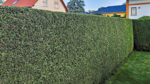 Gartenservice Cedric Rother