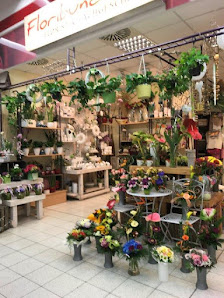 Floribunda GmbH