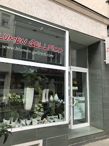 Blumen Gellrich