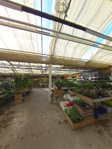 Gartencenter Heuschkel