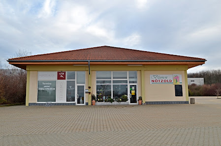 Blumen Nötzold
