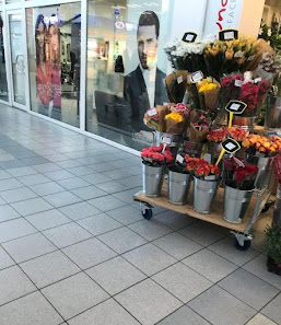 Floribunda GmbH