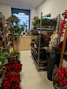 Blumendiele Geisler Marianne