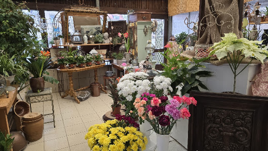 Blumen u. Pflanzenhof Thiele