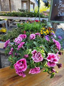 Blumenhaus-Gartenbau Thomas Grell