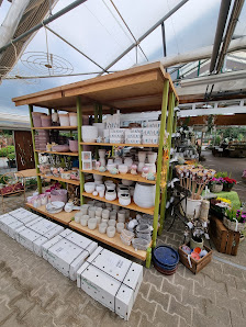 Müller Garten- und Landschaftsbau Pflanzenhandels GmbH
