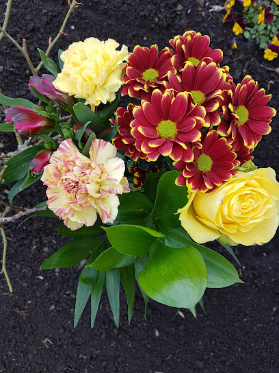 Dein Blumenladen Inh. Wigbert Krause