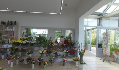Blumenhaus Mitschurin - Mitschurin Galabau & Technik GmbH