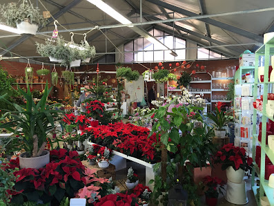 La Rose Blumen & Floristik