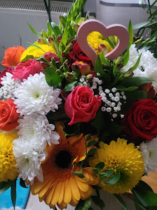 Jacqueline Blumen-Katzer