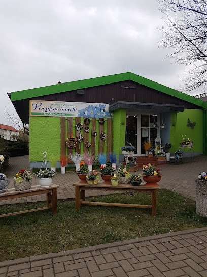 Floristikfachgeschäft Vergißmeinnicht