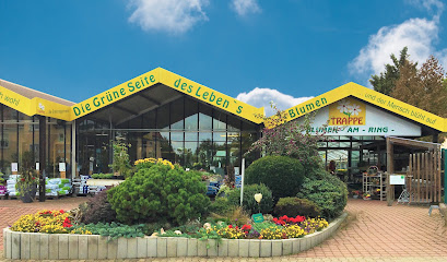 Blumenladen Nordhausen & Gärtnerei - Blumen am Ring, Fam. Trappe