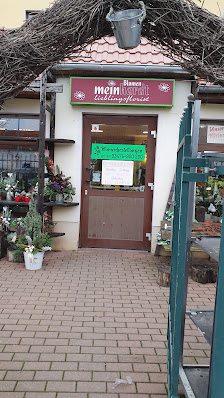 Blumen Meinhardt