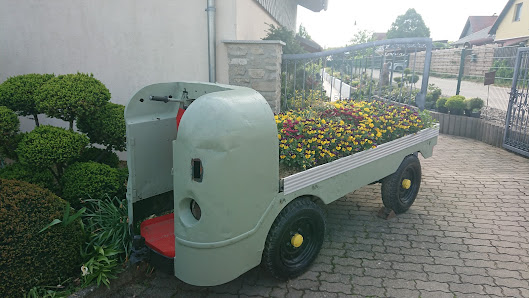 Kuhn's Baumschule und Pflanzenmarkt