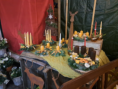 Blumen Polzer