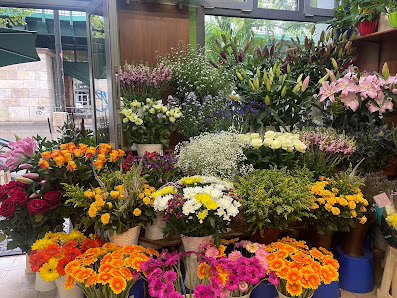 City Blumen