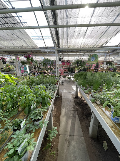 Rohse Blumenhandels GmbH
