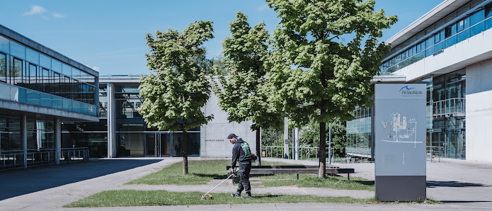 Molla Garten & Landschaft