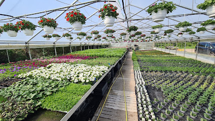 Sommerblumen ohne Ende (Blumen- und Pflanzenverkauf)