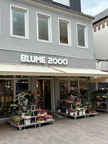 BLUME2000 Heide
