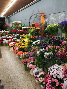Blumenhaus Gohrke