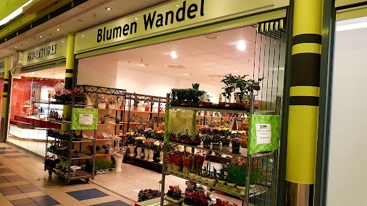 Blumen Wandel