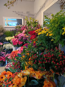 Dierk Peyn, Blumen Peyn