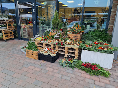 Blumen im Famila Markt