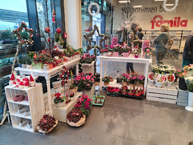 Blumen im Famila Markt
