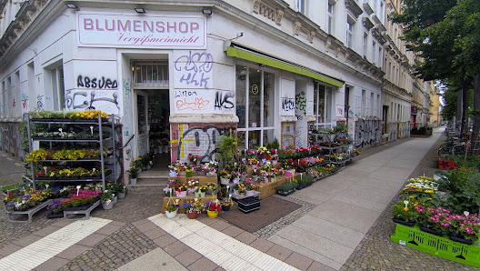 Blumenshop Vergissmeinnicht