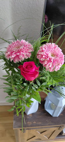Stooky - Blumen & Pflanzen Inh. Roelof Stoker