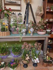 Blumenfachgeschäft Mayflower