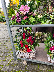 Blumenfachgeschäft Mayflower