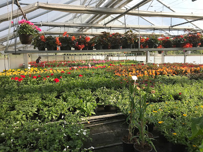 Hartmut Schreier Gartenbautechnik