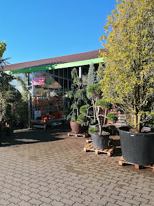 Gartencenter Enders oHG