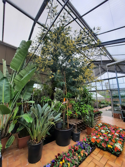 Gartencenter Enders oHG