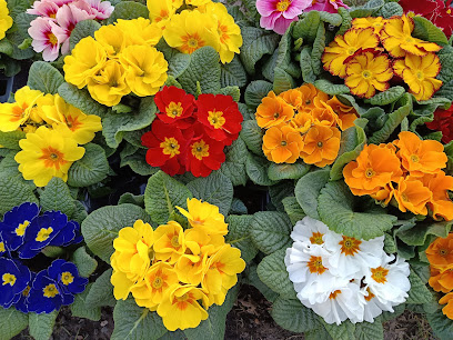 Gartenbaubetrieb Andreas Haag