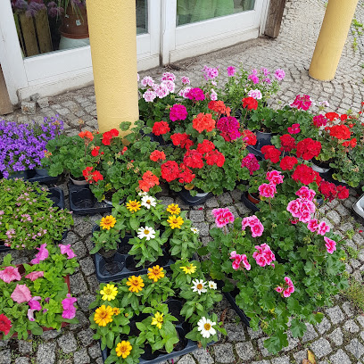 Blumenpavillon Leuna "heiterer Blick"