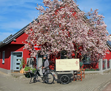 Allerlei Schönes der Natur