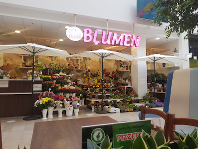 Blumen Möbius GmbH