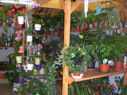 Blumenhaus & Gärtnerei Schneider
