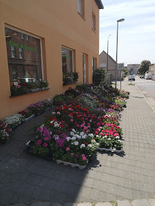 Blumengeschäft Maiglöckchen