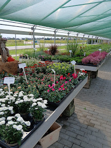 Gebrüder Böttcher Gartenbau GmbH