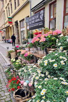 BLUME2000 Wittenberg
